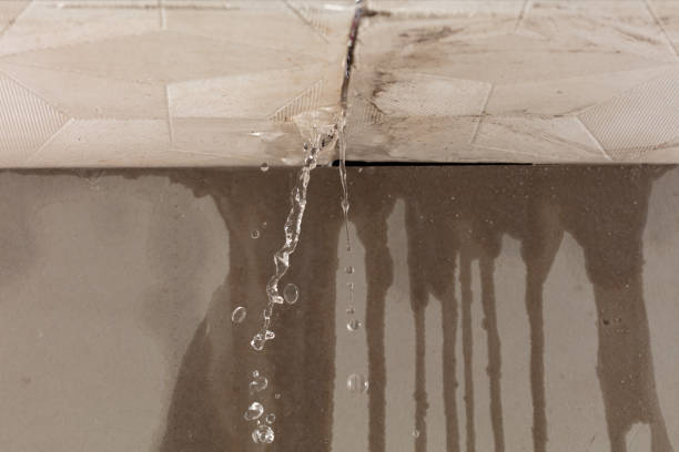 Professional Water Damage Repair technician working in Oakland Gardens, NY